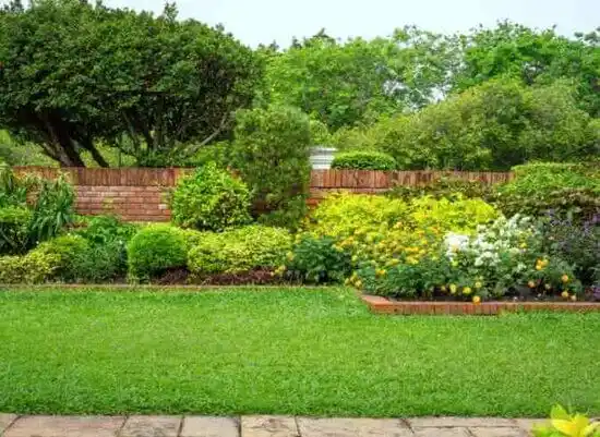 landscaping services Shelbyville